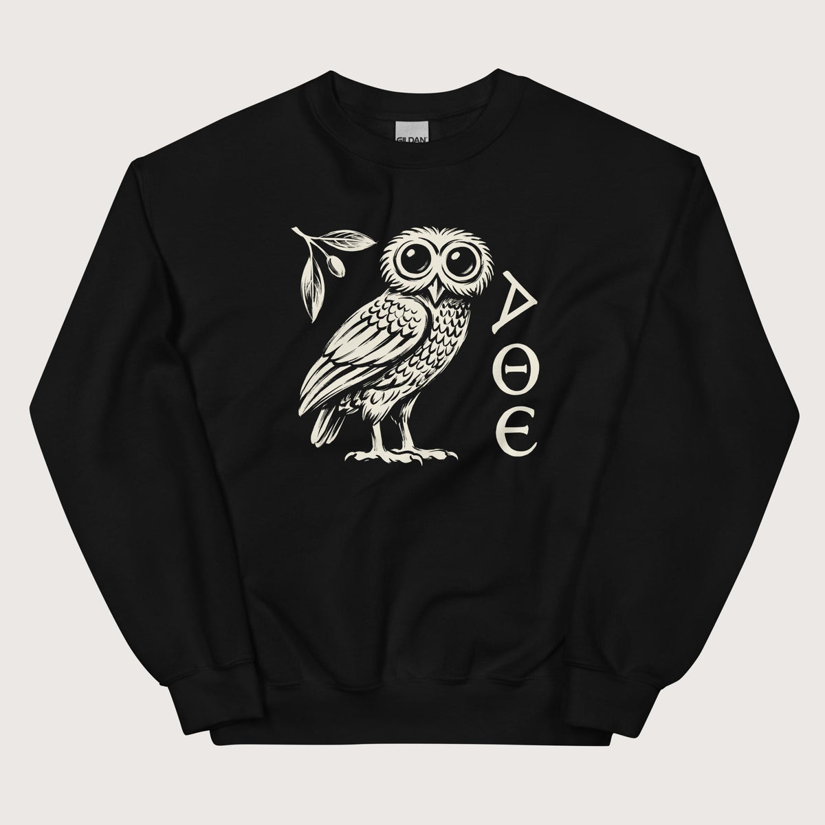 Black Owl of Athena Sweatshirt - history buff gift by HistoHead