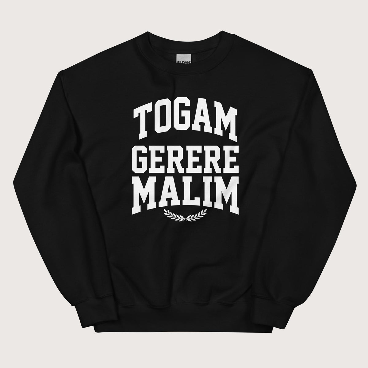 Black Latin I'd Rather Be Wearing A Toga Sweatshirt - history buff gift by HistoHead