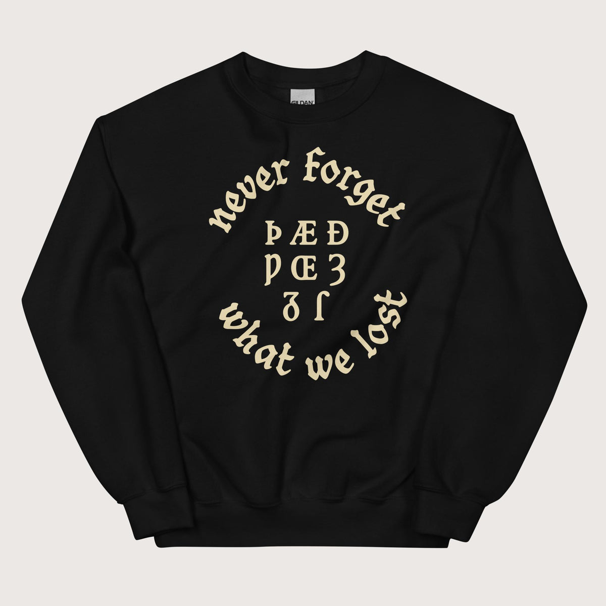 Black Never Forget Lost Letters Sweatshirt - history buff gift by HistoHead