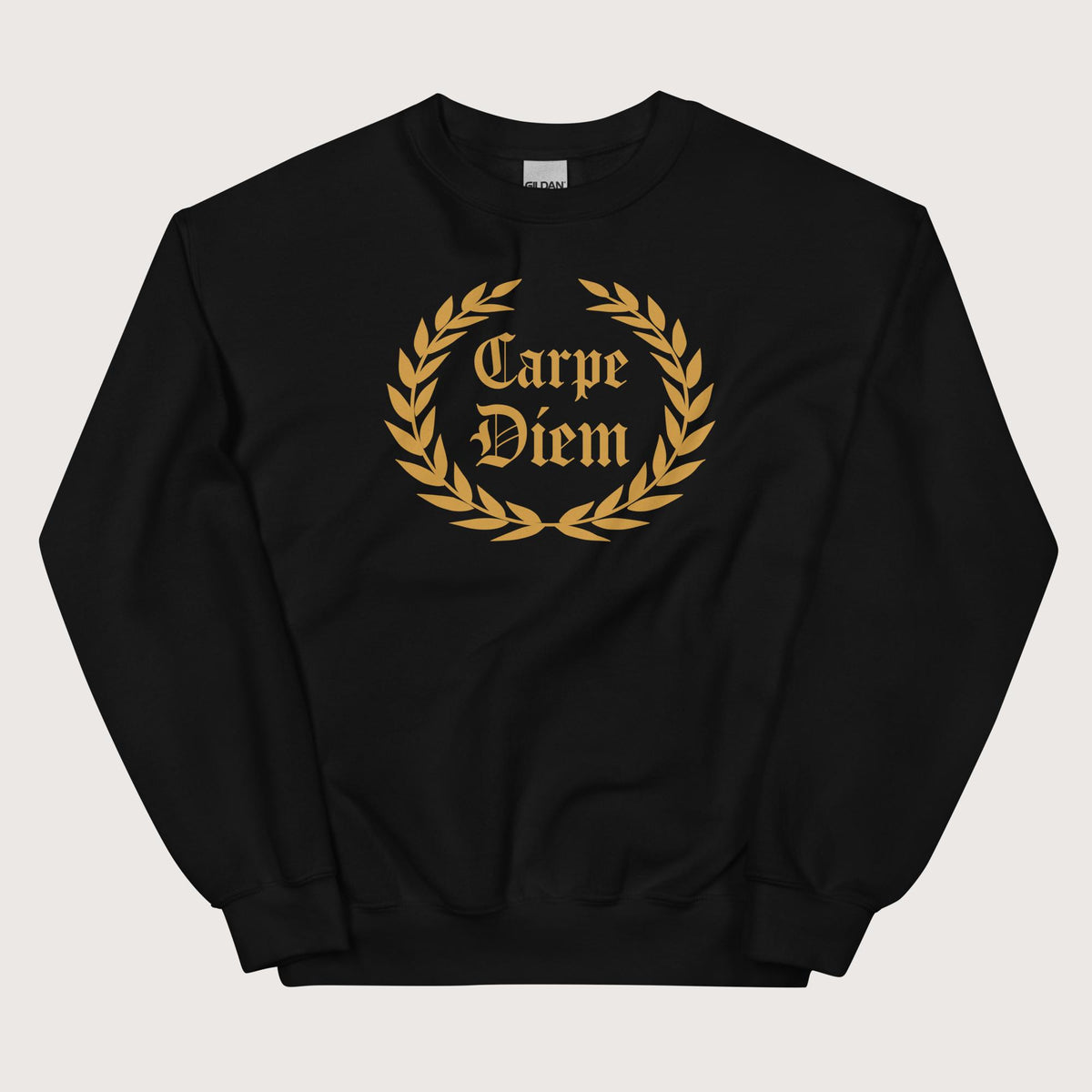 Black Carpe Diem Sweatshirt - history buff gift by HistoHead