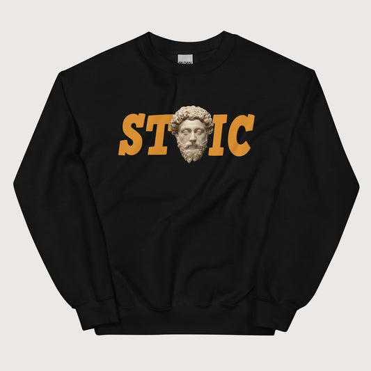 Black Stoic Marcus Aurelius Sweatshirt - history buff gift by HistoHead