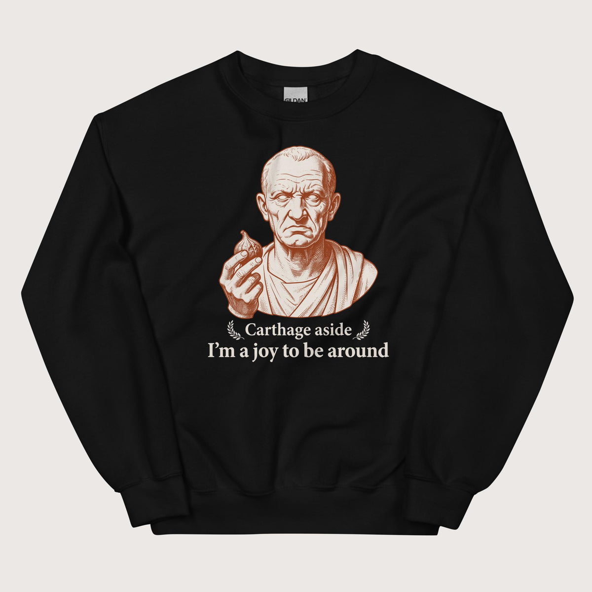 Black Cato Carthage Aside I'm a Joy to Be Around Sweatshirt - history buff gift by HistoHead