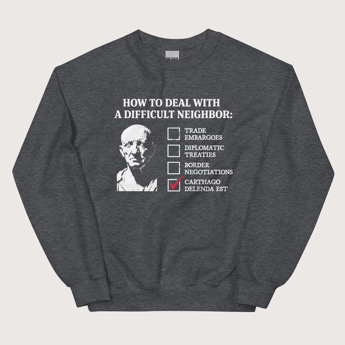 Dark Heather Cato's Foreign Policy Sweatshirt - history buff gift by HistoHead