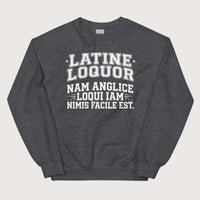 Dark Heather I Speak Latin Because English Is Too Easy Now Sweatshirt - history buff gift by HistoHead