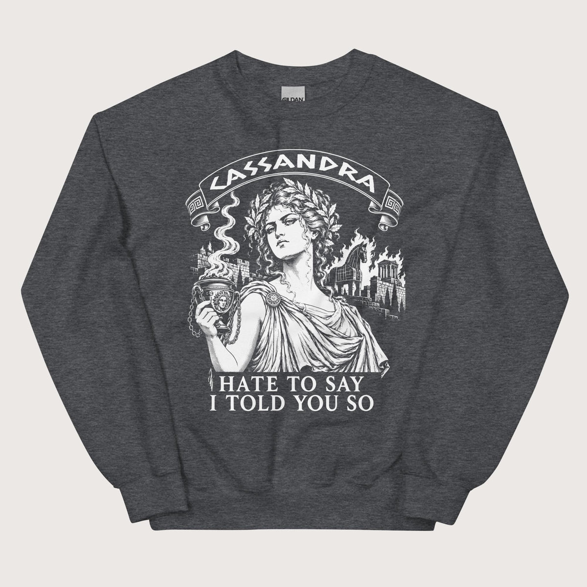 Dark Heather Cassandra Hate to Say I Told You So Sweatshirt - history buff gift by HistoHead