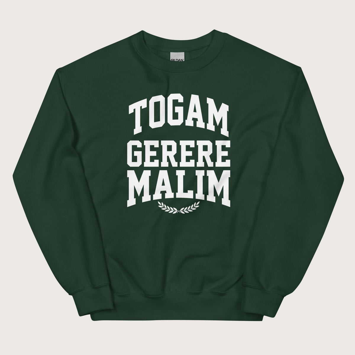 Forest Green Latin I'd Rather Be Wearing A Toga Sweatshirt - history buff gift by HistoHead