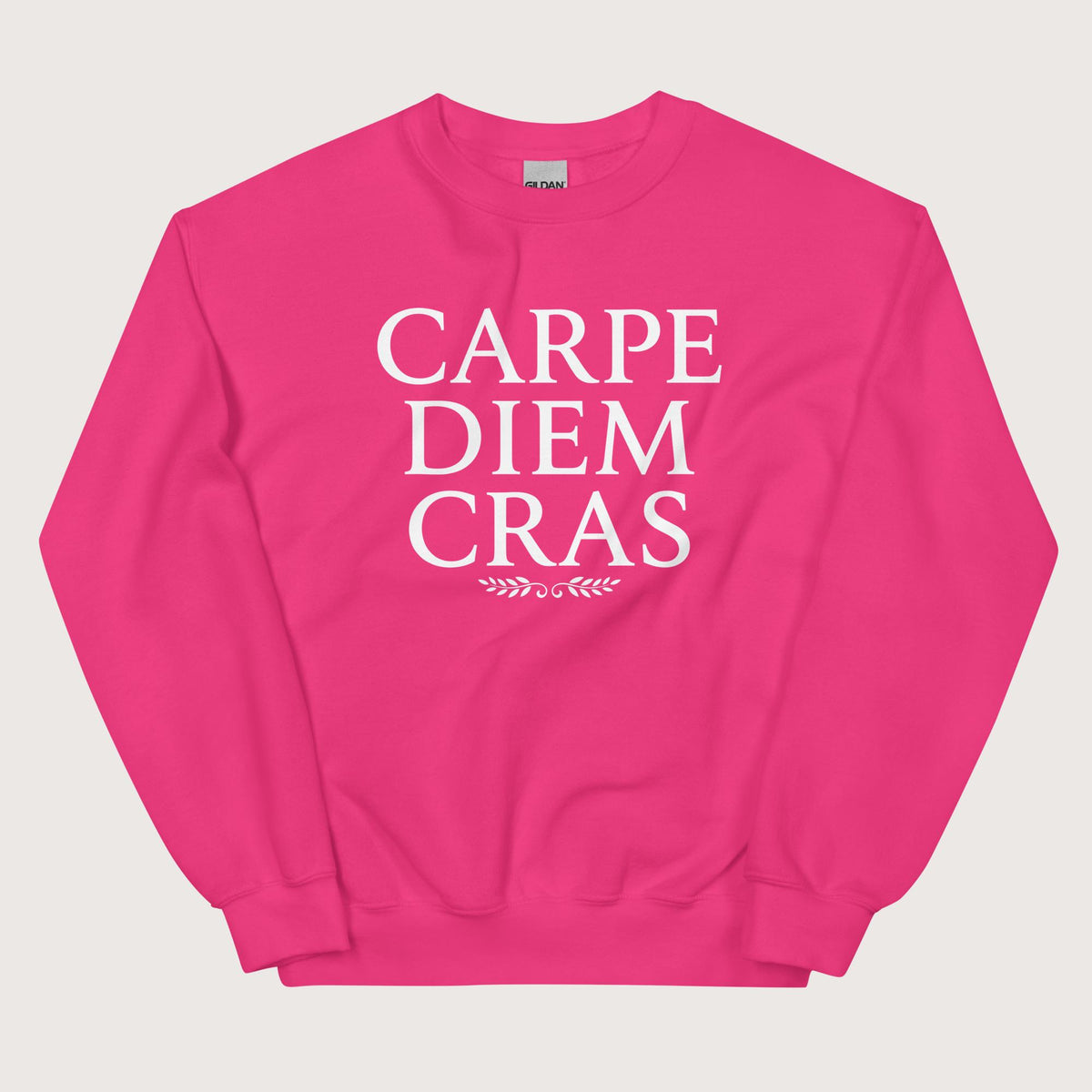 Heliconia Seize the Day Tomorrow in Latin Sweatshirt - history buff gift by HistoHead