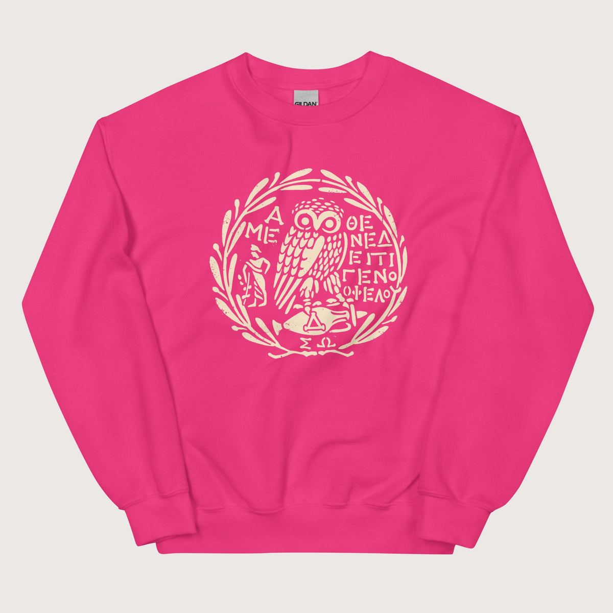 Heliconia Owl of Athena 2 Sweatshirt - history buff gift by HistoHead