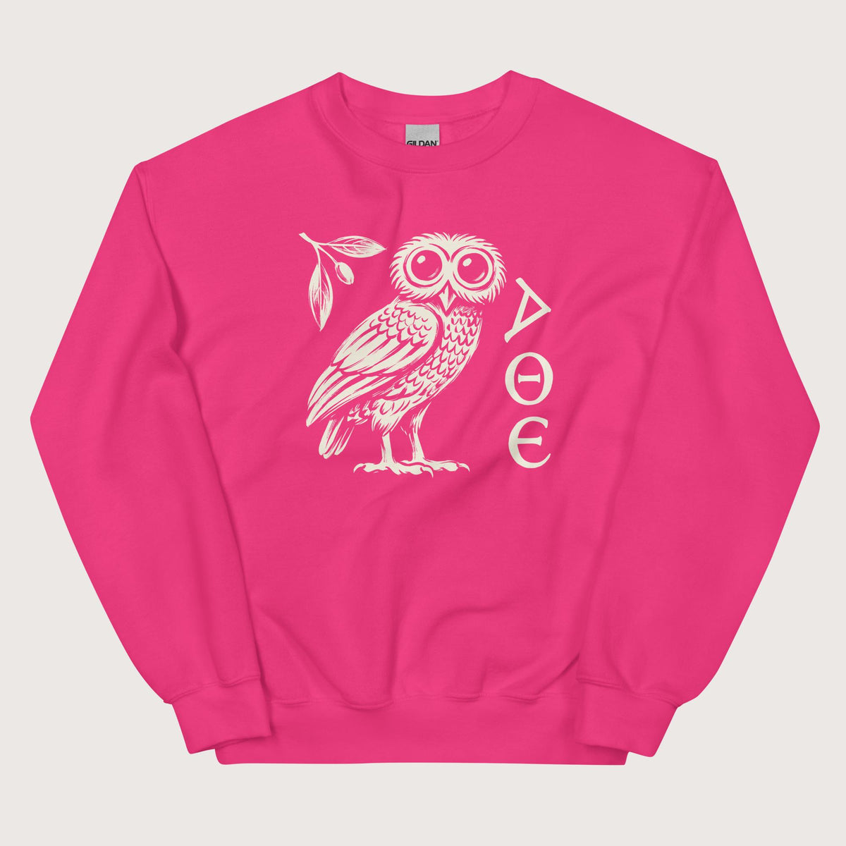 Heliconia Owl of Athena Sweatshirt - history buff gift by HistoHead