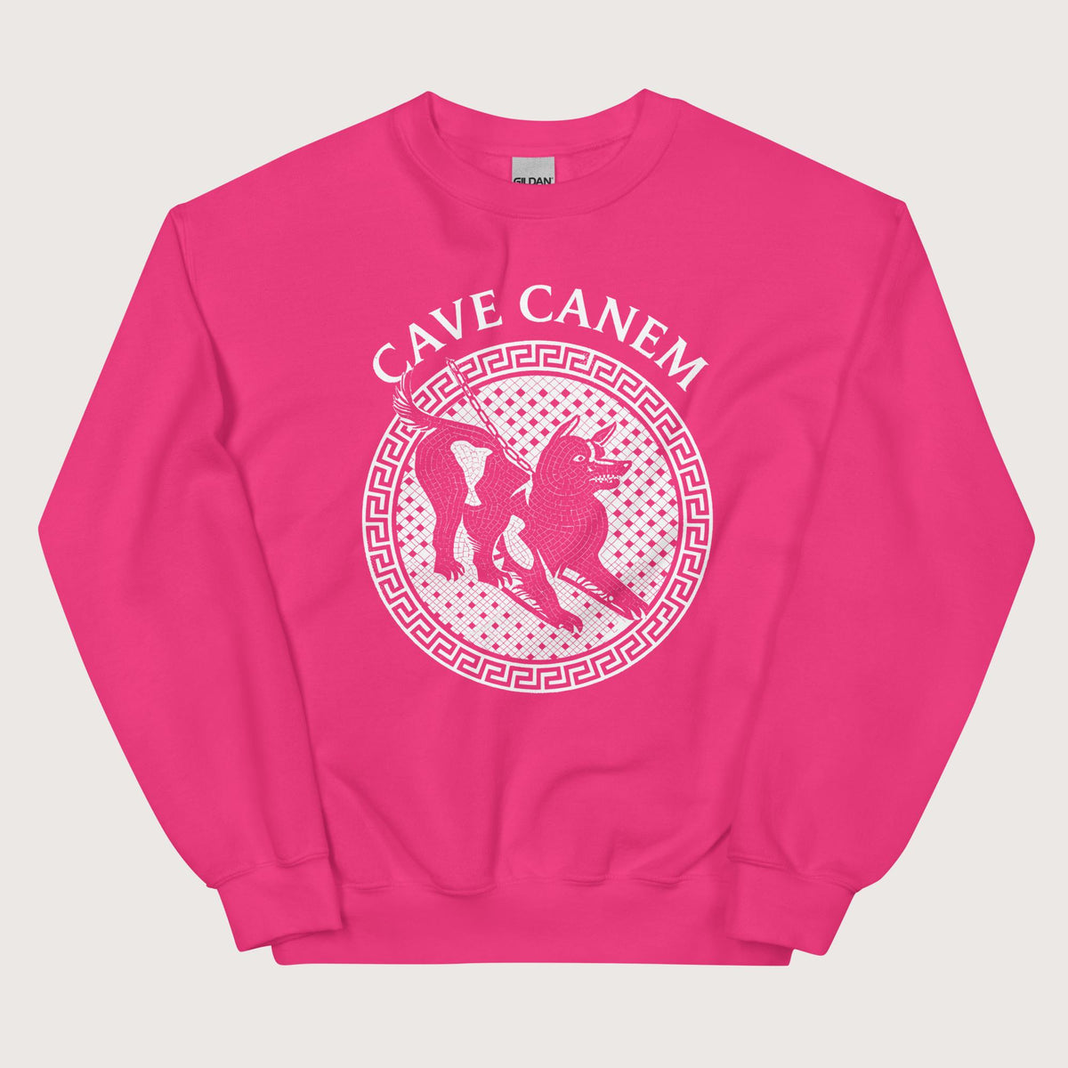 Heliconia Cave Canem Sweatshirt - history buff gift by HistoHead