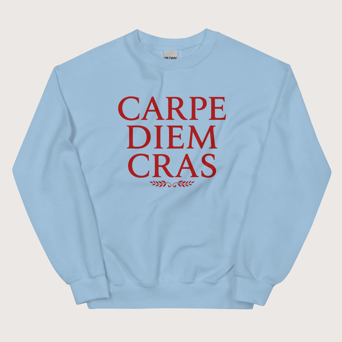 Light Blue Seize the Day Tomorrow in Latin Sweatshirt - history buff gift by HistoHead