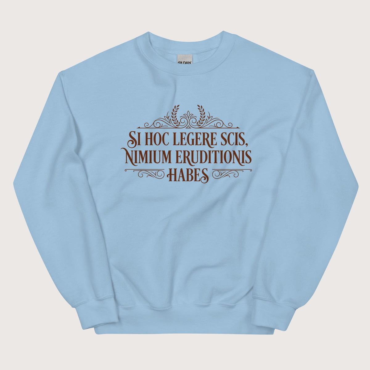 Light Blue If You Can Read This You Have Too Much Education in Latin Sweatshirt - history buff gift by HistoHead