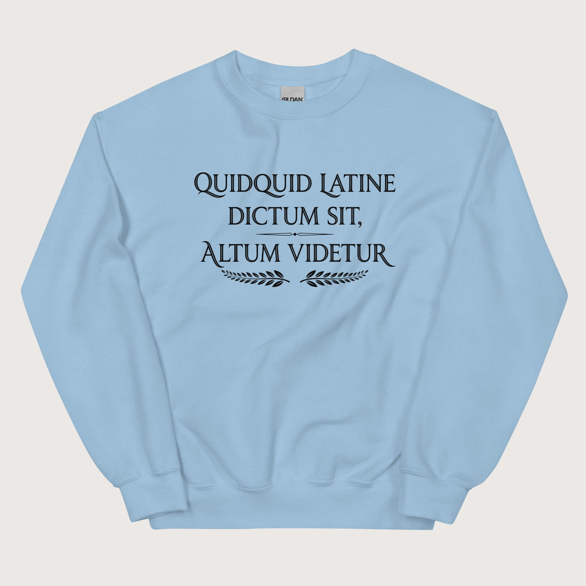 Light Blue Whatever Is Said in Latin Seems Deep Sweatshirt - history buff gift by HistoHead