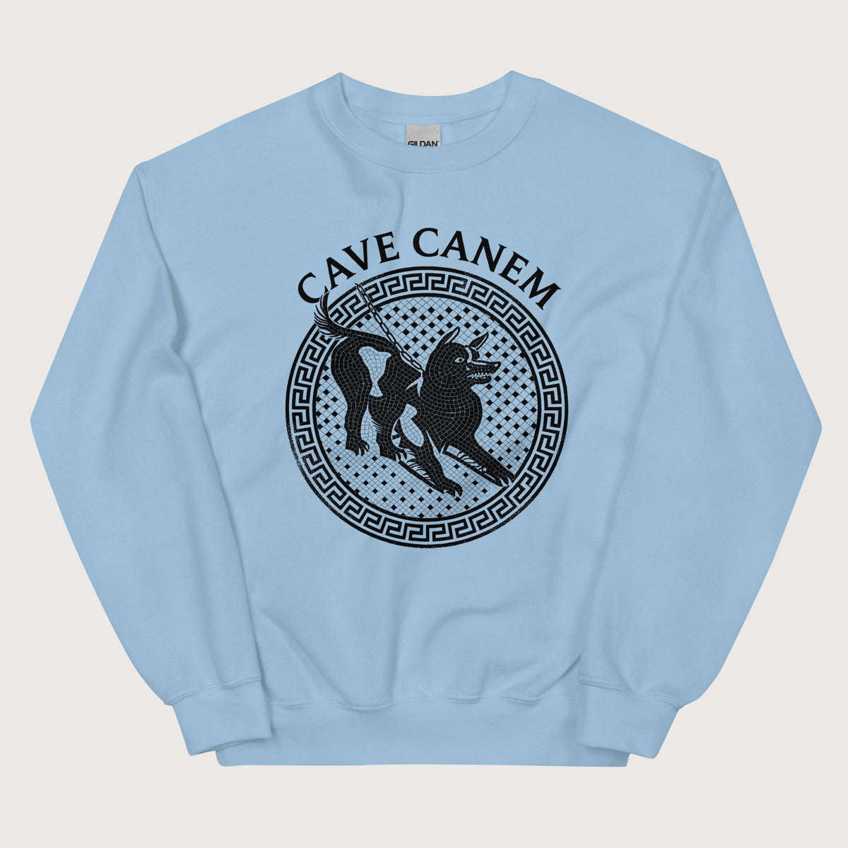 Light Blue Cave Canem Sweatshirt - history buff gift by HistoHead