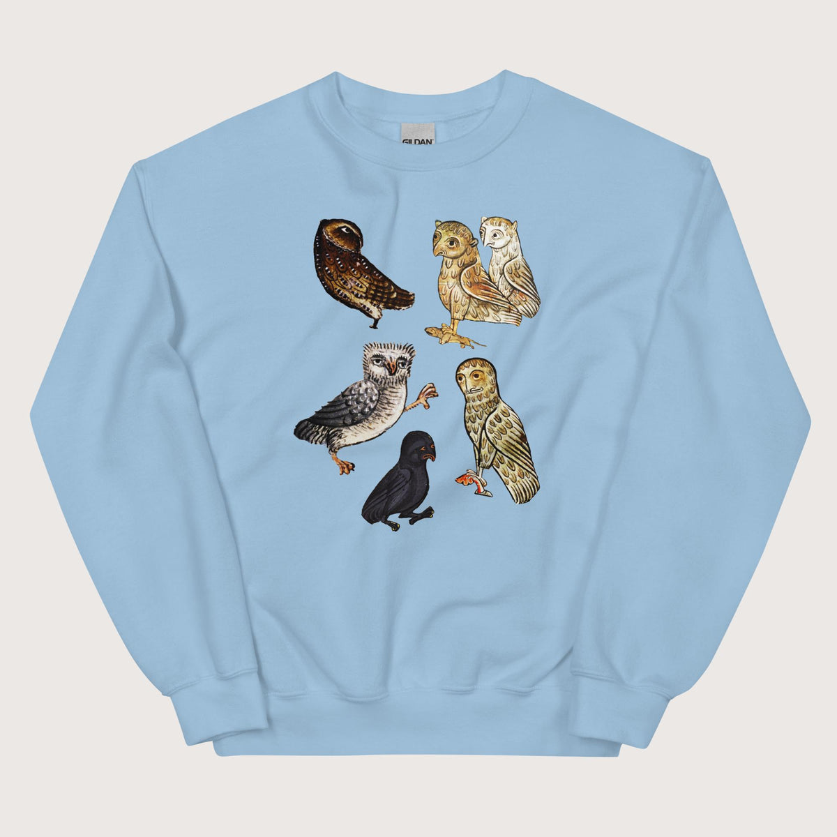 Light Blue Weird Medieval Owls Sweatshirt - history buff gift by HistoHead
