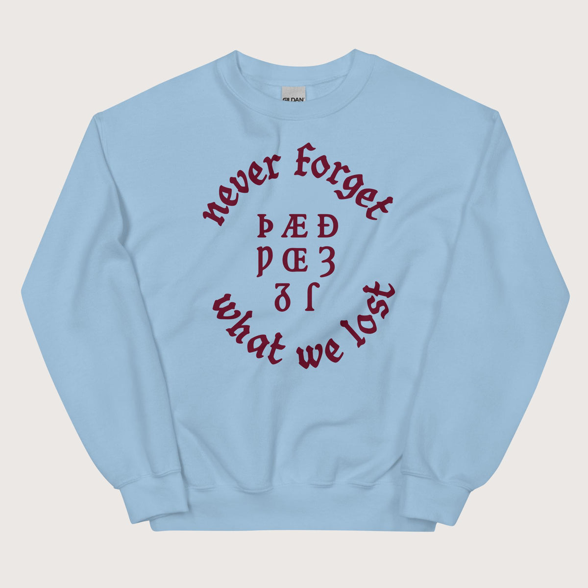 Light Blue Never Forget Lost Letters Sweatshirt - history buff gift by HistoHead