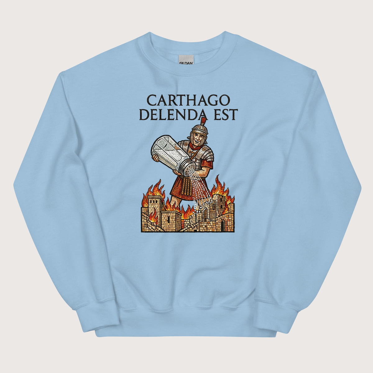 Light Blue Salting Carthage Sweatshirt - history buff gift by HistoHead
