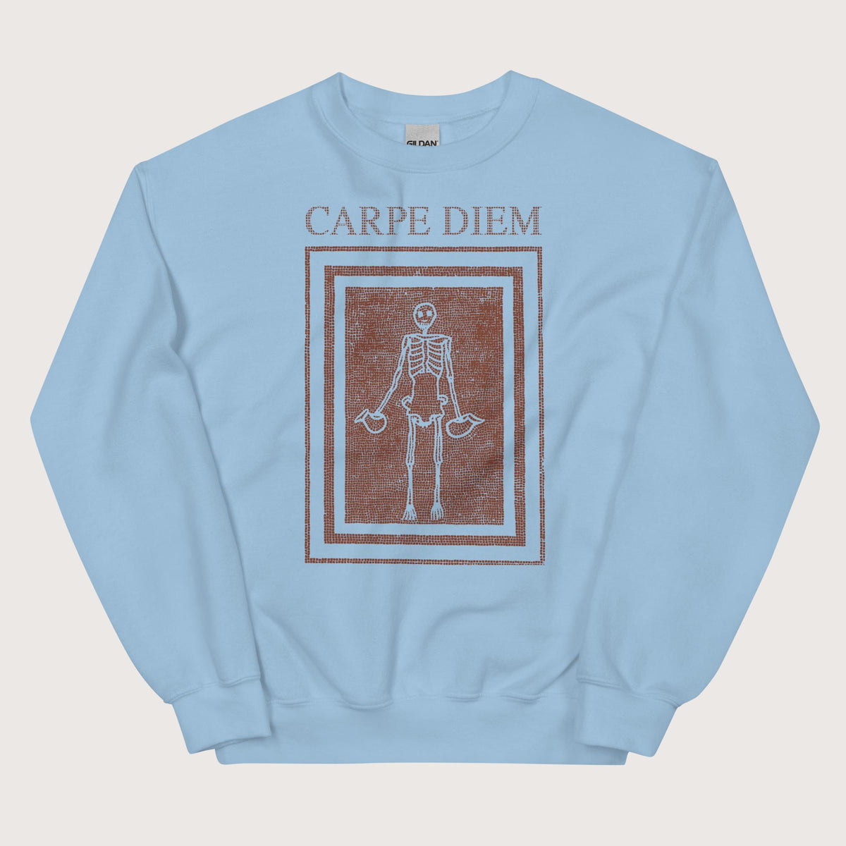 Light Blue Carpe Diem Skeleton Sweatshirt - history buff gift by HistoHead
