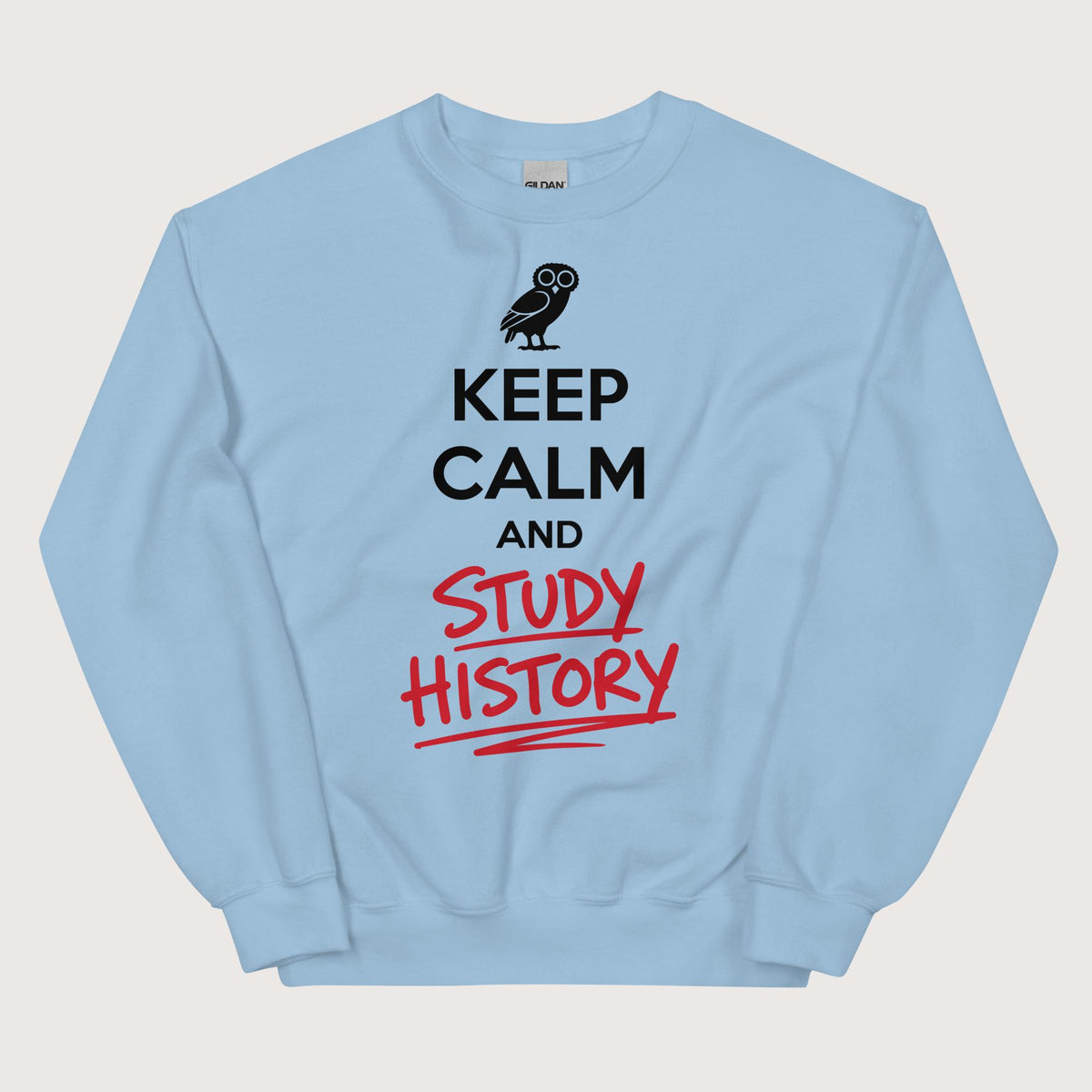 Light Blue Keep Calm and Study History Sweatshirt - history buff gift by HistoHead