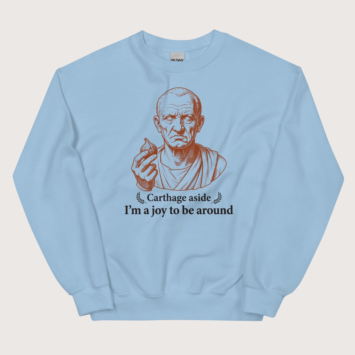 Light Blue Cato Carthage Aside I'm a Joy to Be Around Sweatshirt - history buff gift by HistoHead