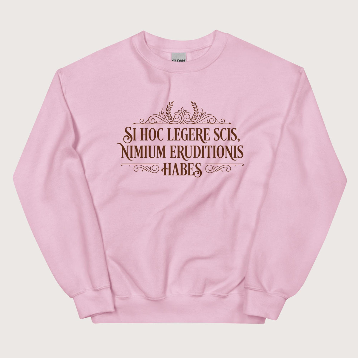 Light Pink If You Can Read This You Have Too Much Education in Latin Sweatshirt - history buff gift by HistoHead