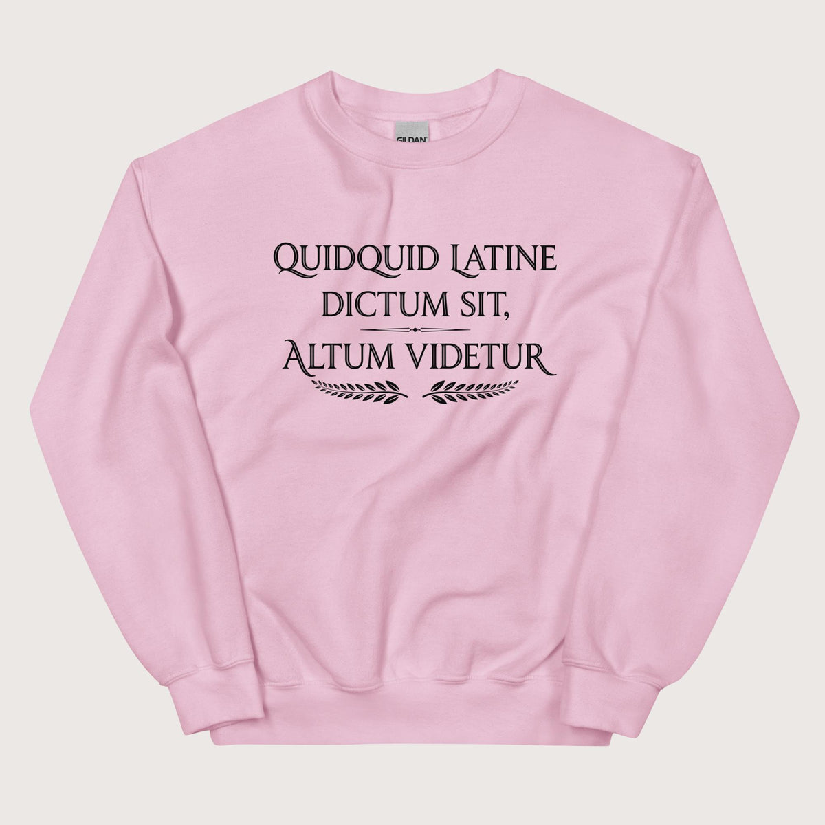Light Pink Whatever Is Said in Latin Seems Deep Sweatshirt - history buff gift by HistoHead