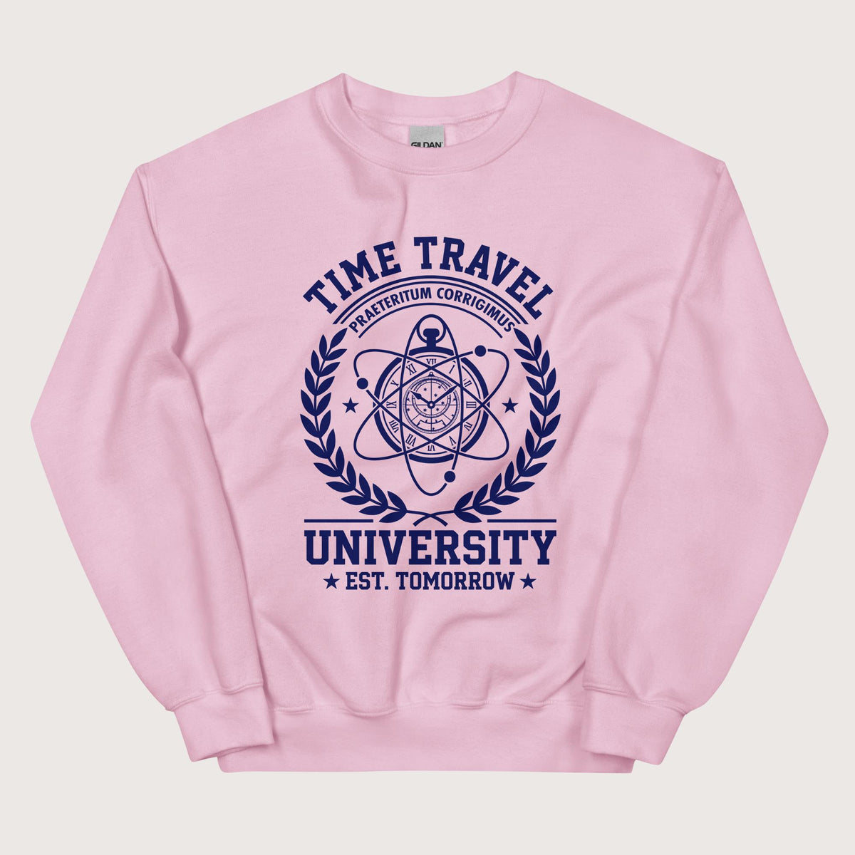Light Pink Time Travel University Sweatshirt - history buff gift by HistoHead