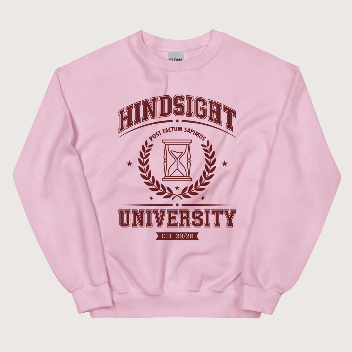 Light Pink Hindsight University Sweatshirt - history buff gift by HistoHead