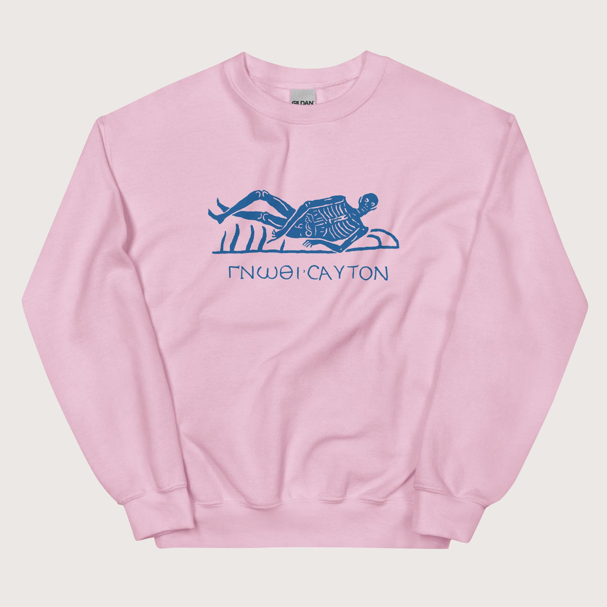 Light Pink Know Thyself Skeleton Sweatshirt - history buff gift by HistoHead