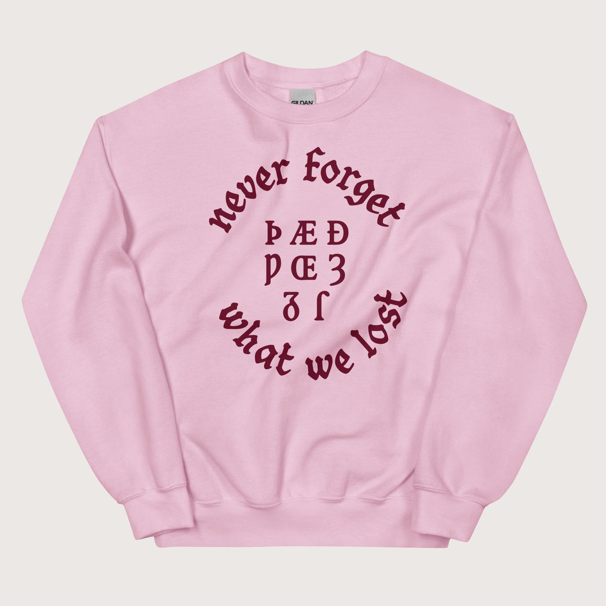 Light Pink Never Forget Lost Letters Sweatshirt - history buff gift by HistoHead