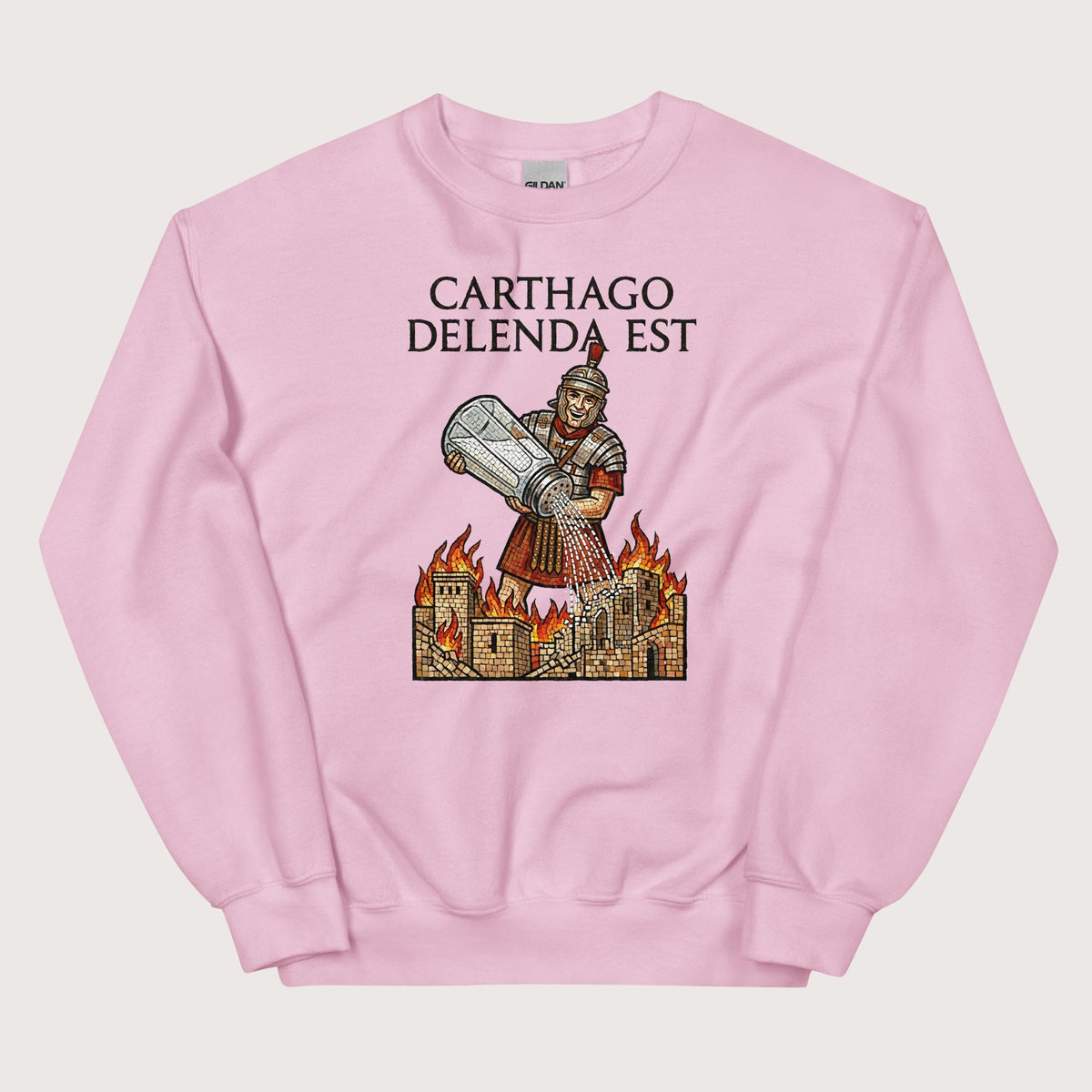 Light Pink Salting Carthage Sweatshirt - history buff gift by HistoHead