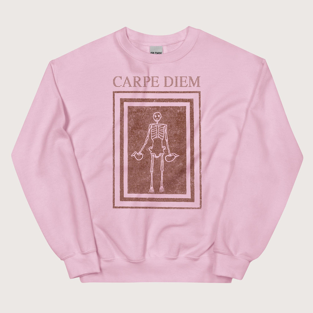 Light Pink Carpe Diem Skeleton Sweatshirt - history buff gift by HistoHead