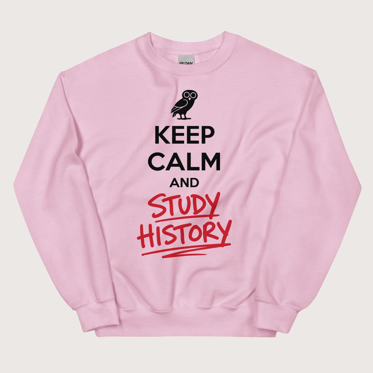 Light Pink Keep Calm and Study History Sweatshirt - history buff gift by HistoHead