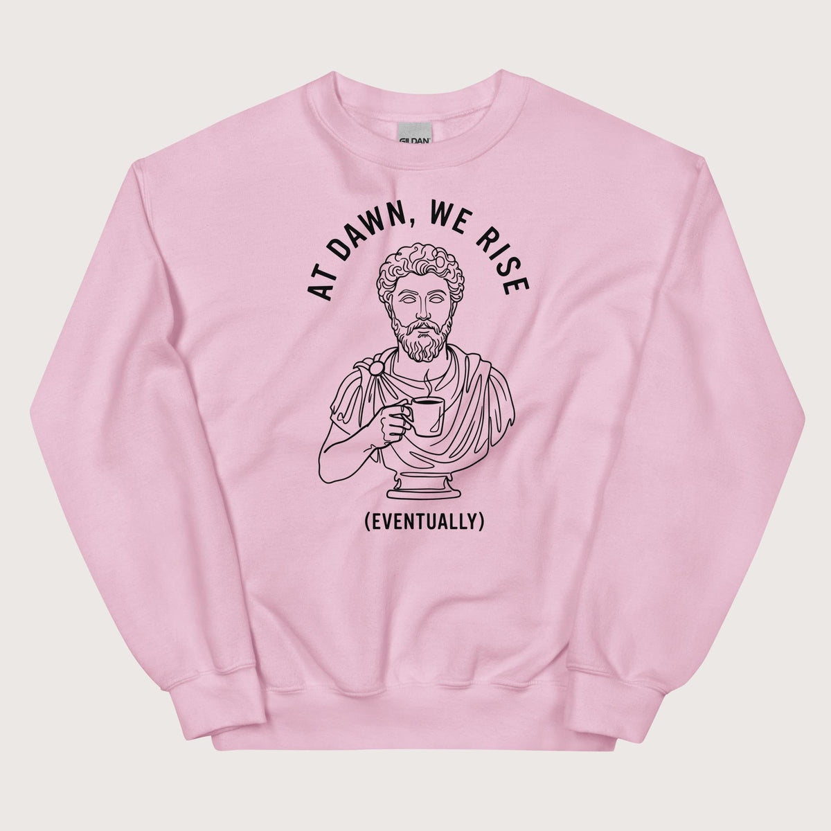 Light Pink At Dawn We Rise Sweatshirt - history buff gift by HistoHead