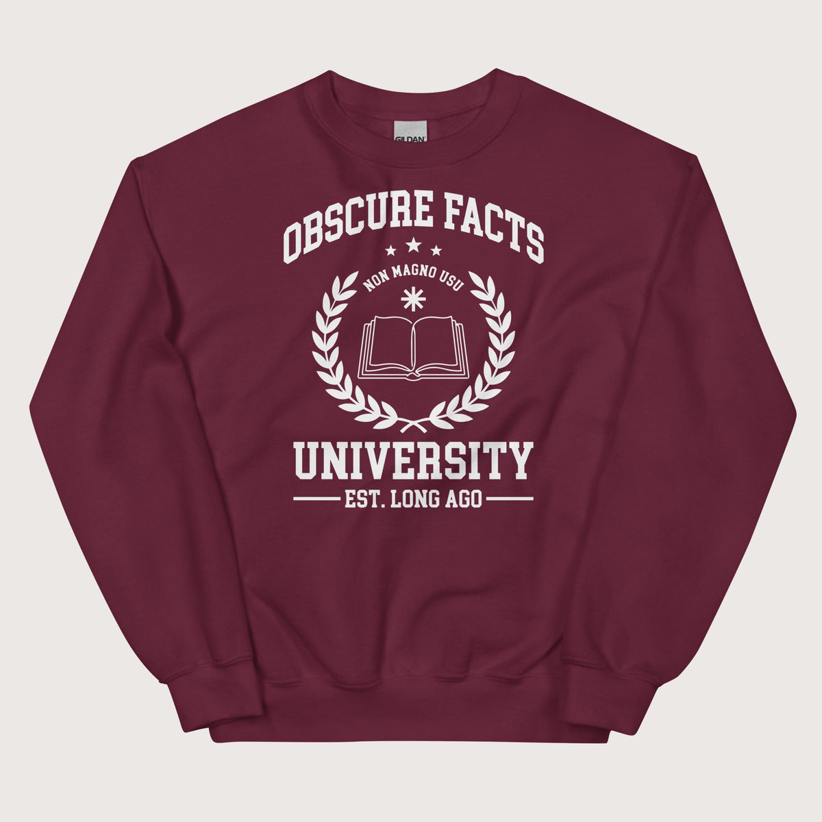 Maroon Obscure Facts University - Sweatshirt - history buff gift by HistoHead