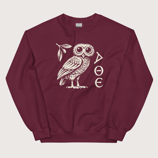 Maroon Owl of Athena Sweatshirt - history buff gift by HistoHead