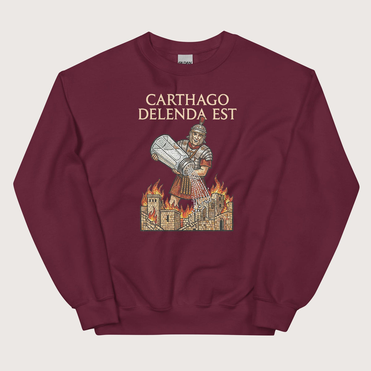 Maroon Salting Carthage Sweatshirt - history buff gift by HistoHead