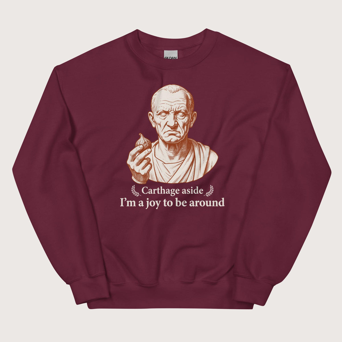 Maroon Cato Carthage Aside I'm a Joy to Be Around Sweatshirt - history buff gift by HistoHead