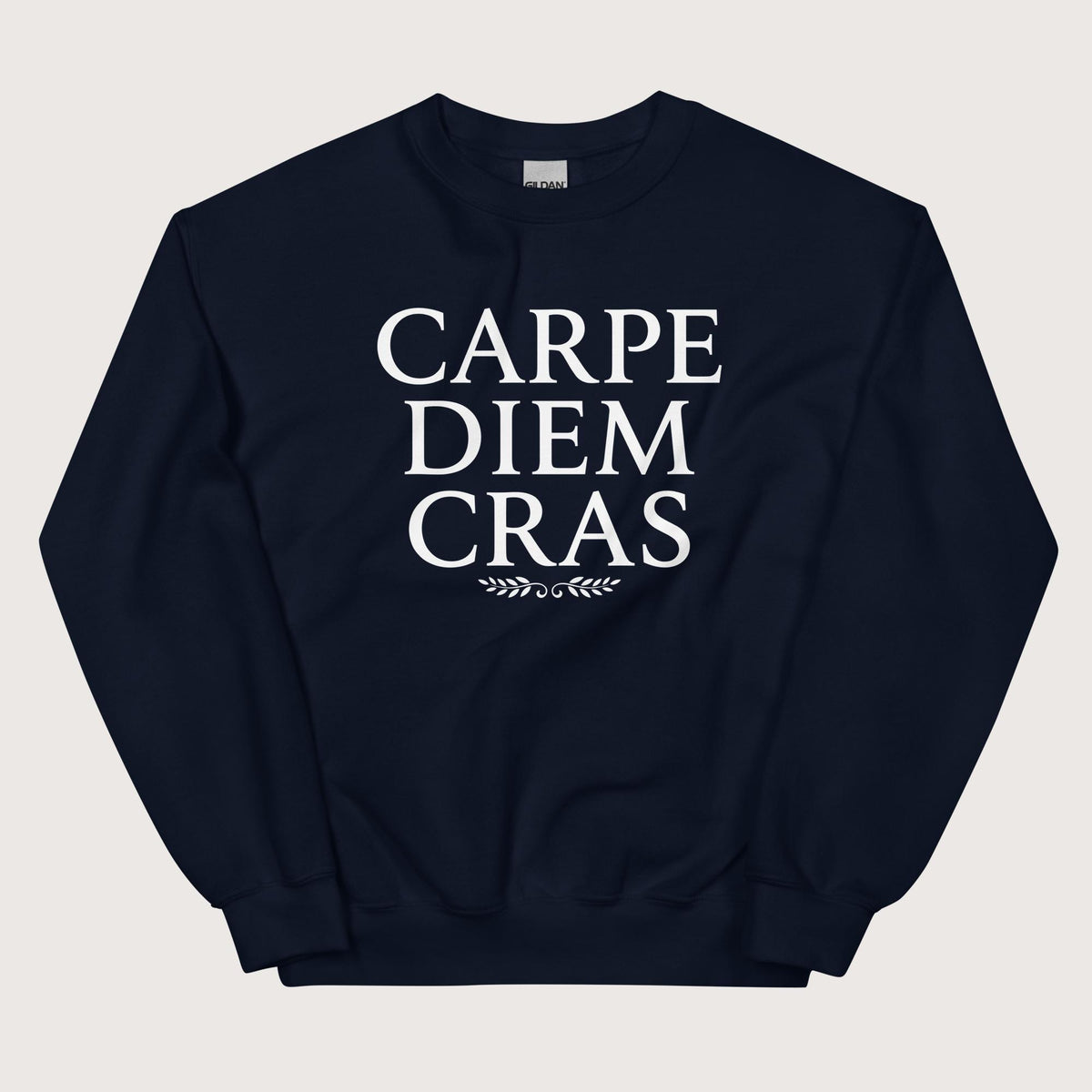Navy Seize the Day Tomorrow in Latin Sweatshirt - history buff gift by HistoHead