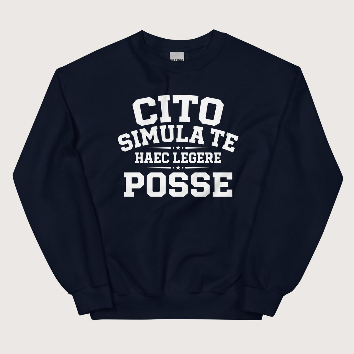 Navy Latin Quick Pretend You Can Read This Sweatshirt - history buff gift by HistoHead