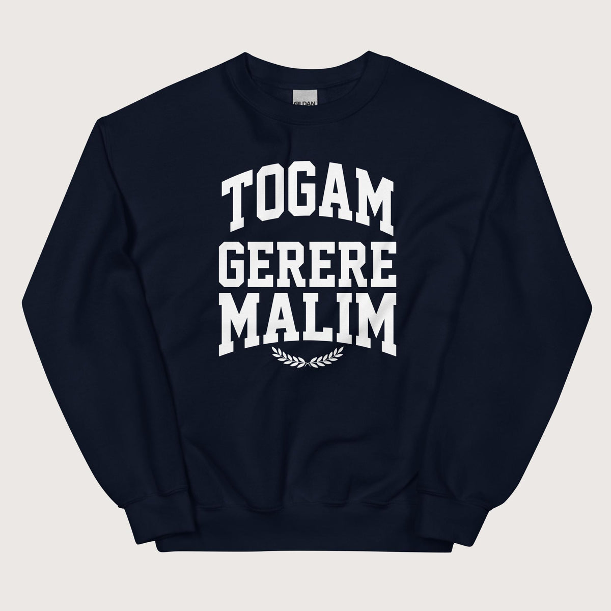 Navy Latin I'd Rather Be Wearing A Toga Sweatshirt - history buff gift by HistoHead