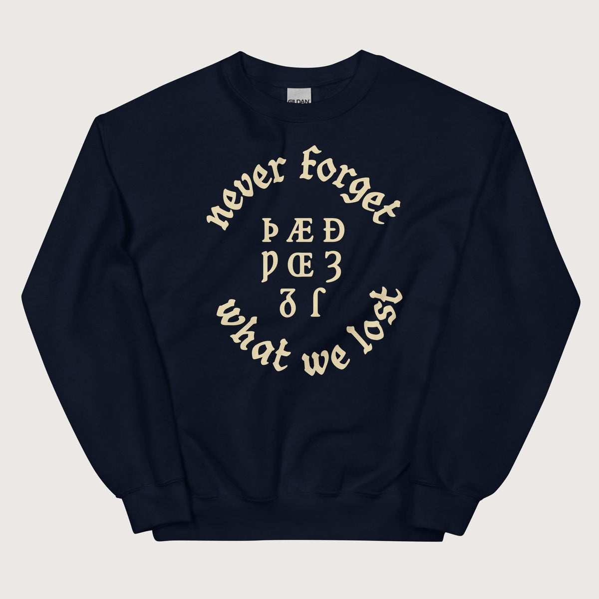 Navy Never Forget Lost Letters Sweatshirt - history buff gift by HistoHead