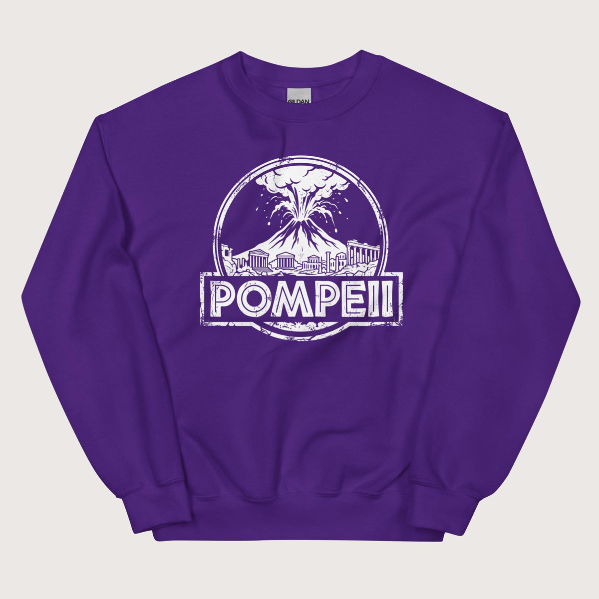 Purple Pompeii Sweatshirt - history buff gift by HistoHead