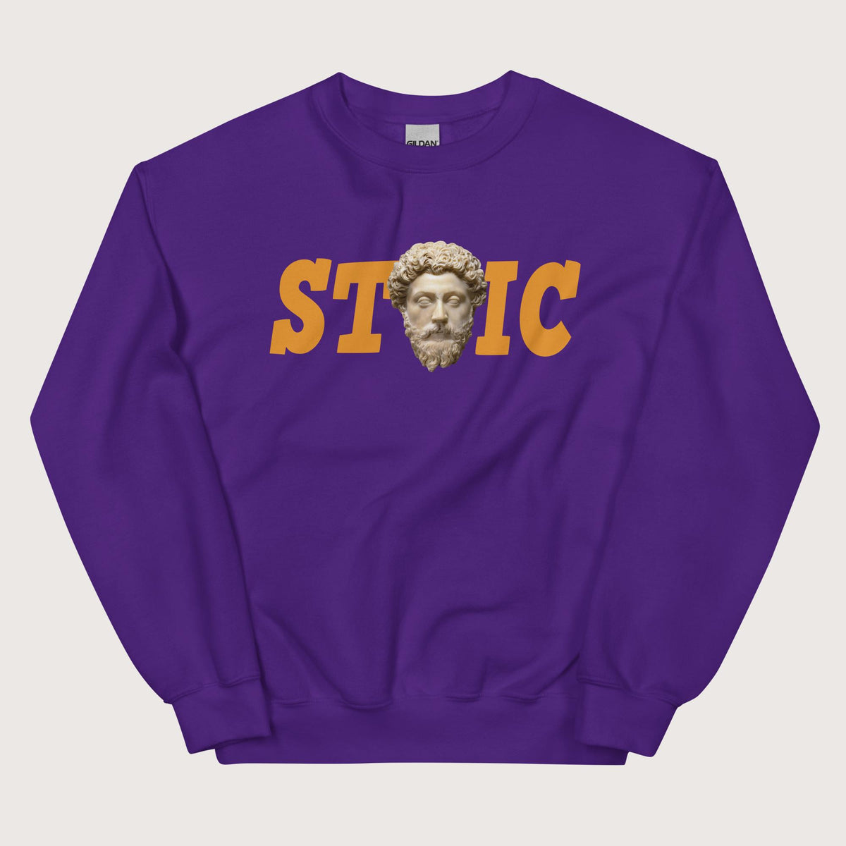 Purple Stoic Marcus Aurelius Sweatshirt - history buff gift by HistoHead