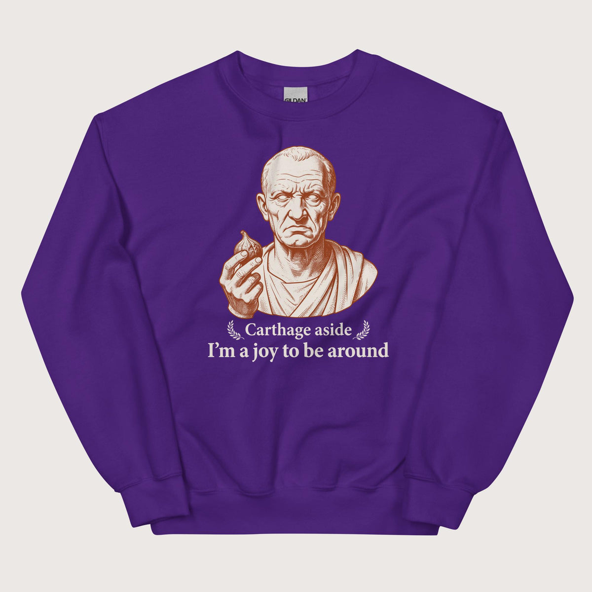Purple Cato Carthage Aside I'm a Joy to Be Around Sweatshirt - history buff gift by HistoHead