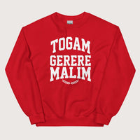Red Latin I'd Rather Be Wearing A Toga Sweatshirt - history buff gift by HistoHead
