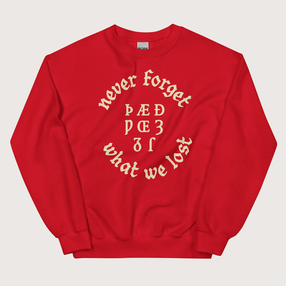 Red Never Forget Lost Letters Sweatshirt - history buff gift by HistoHead