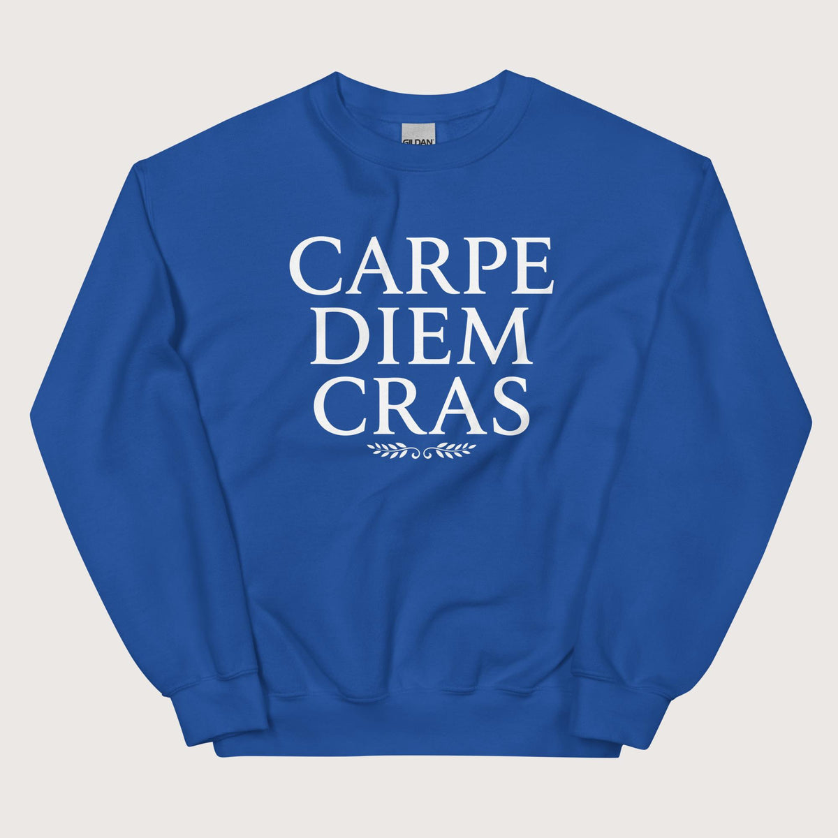 Royal Seize the Day Tomorrow in Latin Sweatshirt - history buff gift by HistoHead