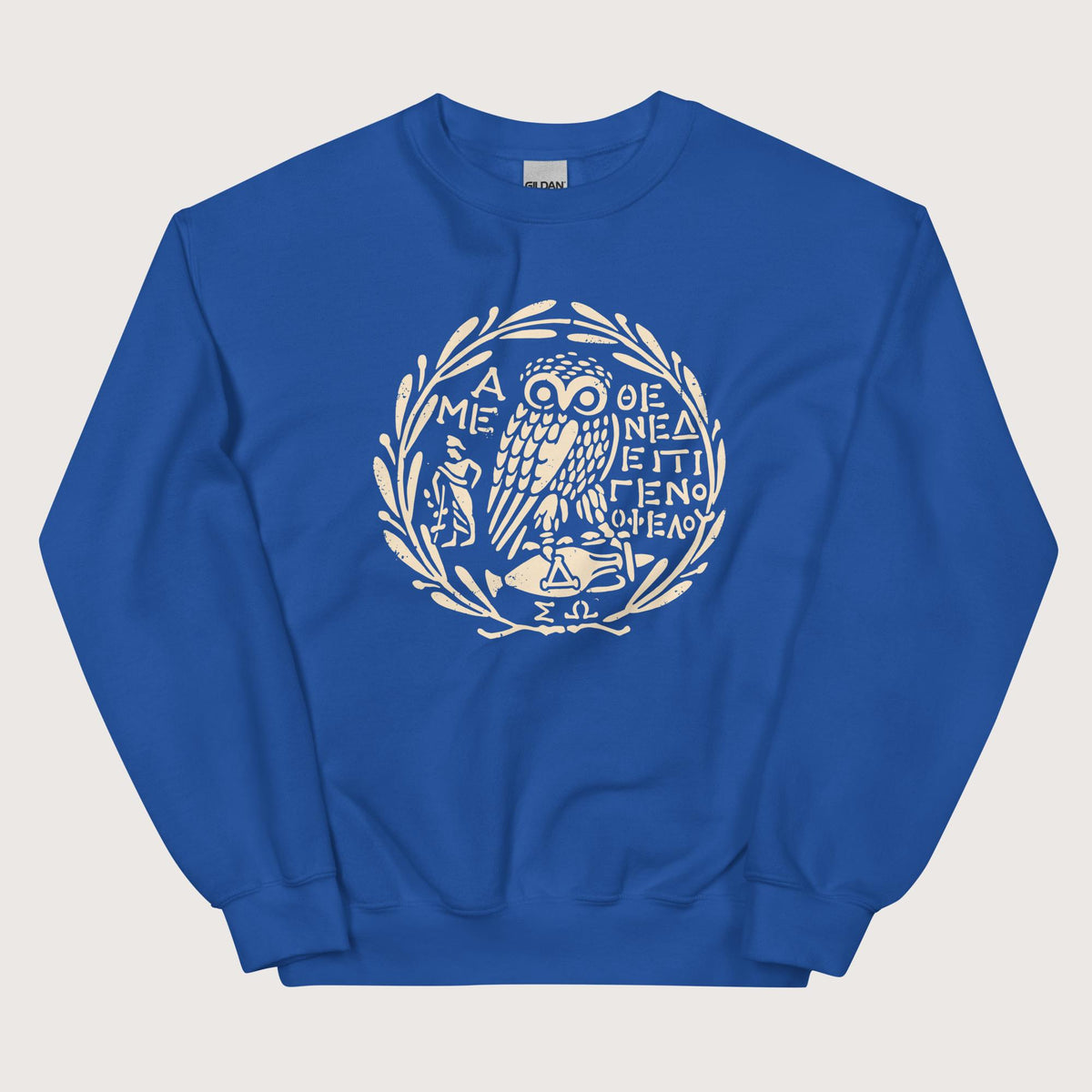 Royal Owl of Athena 2 Sweatshirt - history buff gift by HistoHead