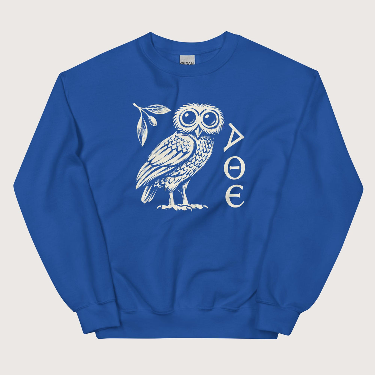 Royal Owl of Athena Sweatshirt - history buff gift by HistoHead